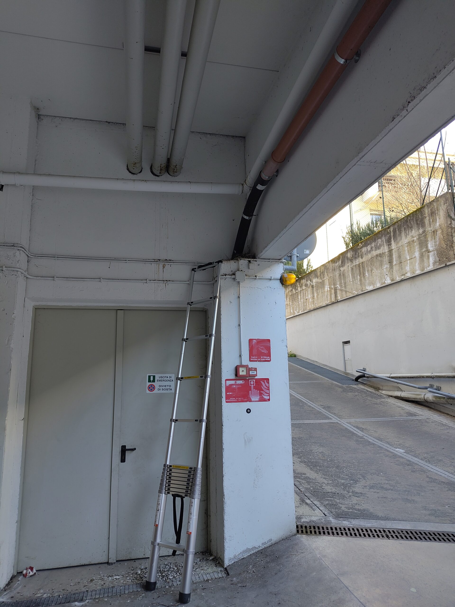 Zwei Küken aus Nest in Kravoglstraße gerettet